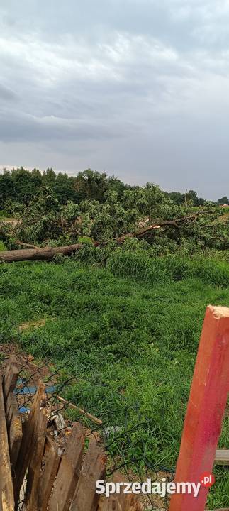 Sprzedam dolnośląskie Trzebnica sprzedam