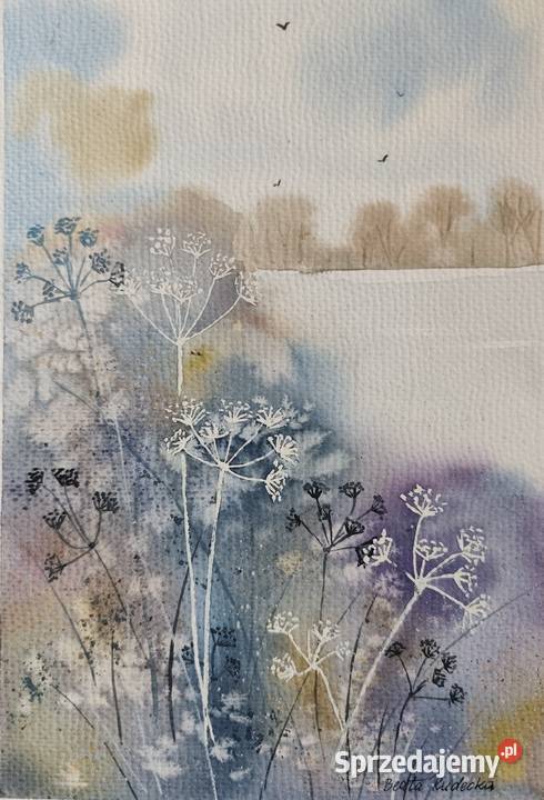 Akwarela Akwarelka Obraz pt Podagrycznik mazowieckie