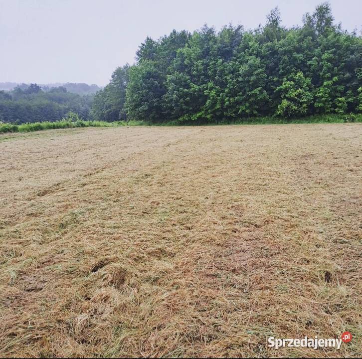 Działka z WZ m Rzeszów obr221 Słocina