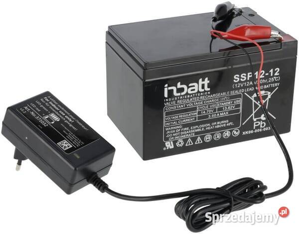 Elektryzator solarny SunPower S1000 372950 Kamionna