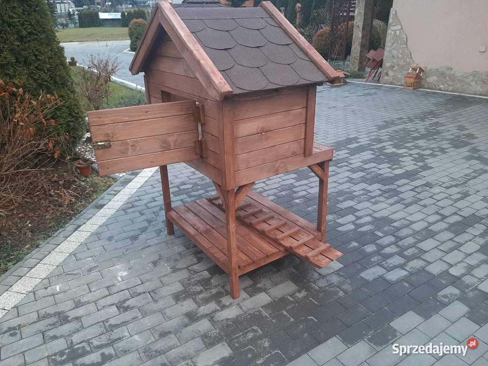 Buda kota Dla kotów Jordanów