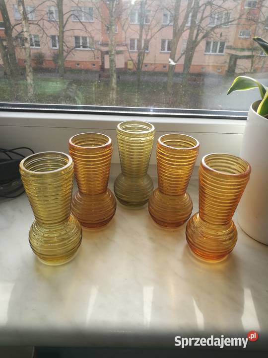 Wazoniki prążki prądniczanka Choszczno