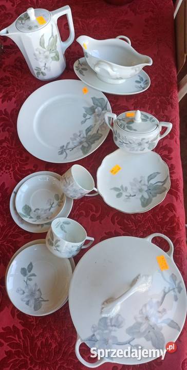 Filiżanka Kwiat jabłoni Rosenthal SelbGermany Gdańsk