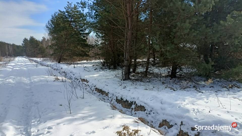Piękna duża działka budowlana Radawa