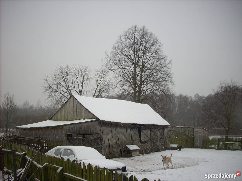 sprzedam gospodarstwo ziemię rolną Gilówka Dolna