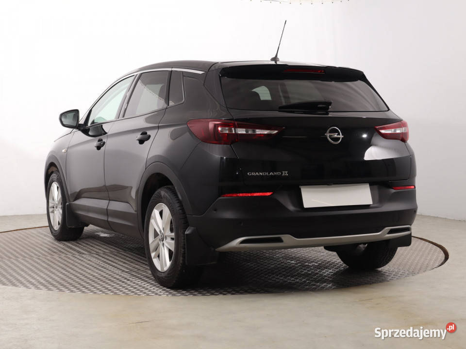 Opel Grandland 12 Turbo czujnik parkowania śląskie