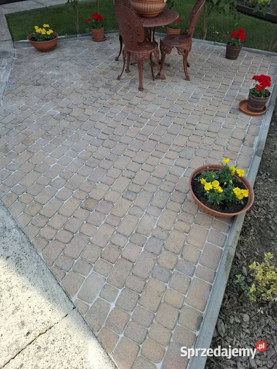 Mycie kostki brukowej efekt nowa Rzeszów
