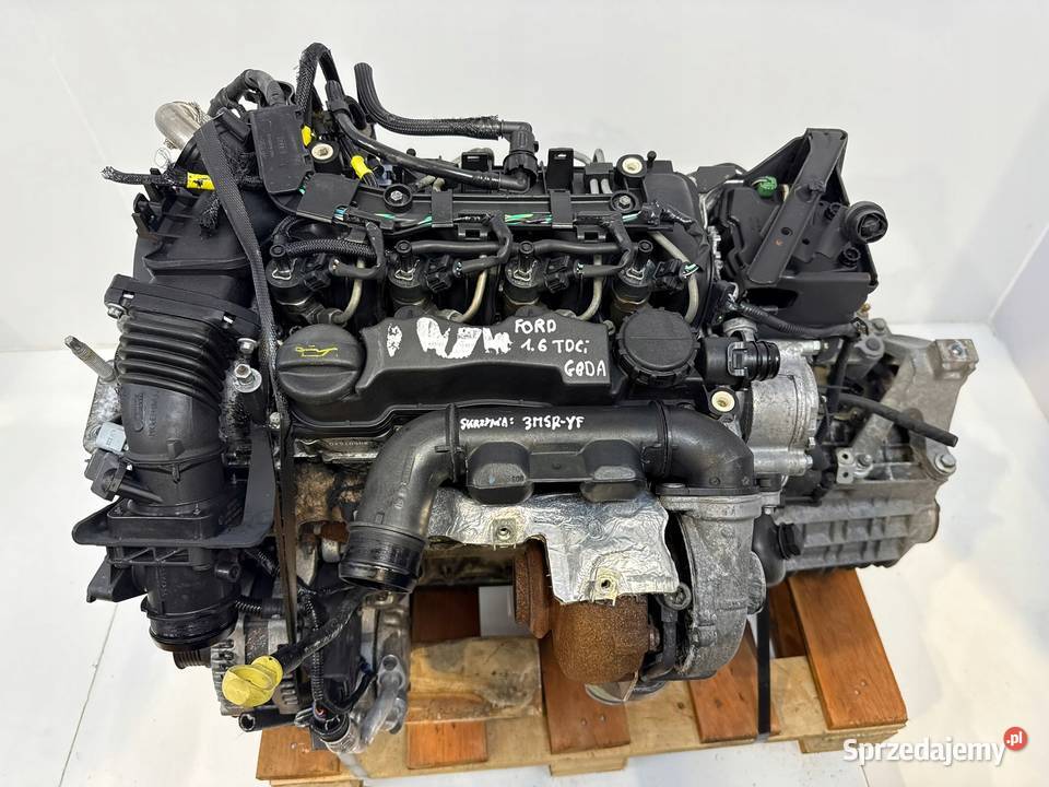 SILNIK G8DA Ford Focus II MK2 C C 16 TDCI 109 Silniki kompletne Chełm