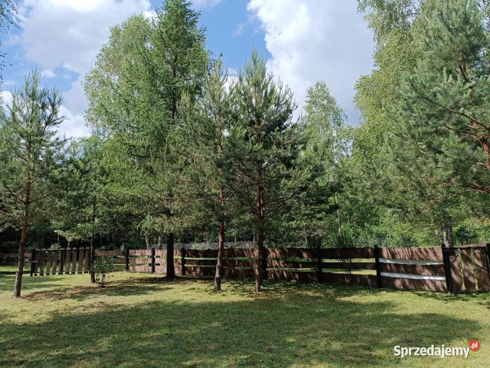 Piękna działka w spokojnej okolicy otoczona 142zł/m2 Rekownica