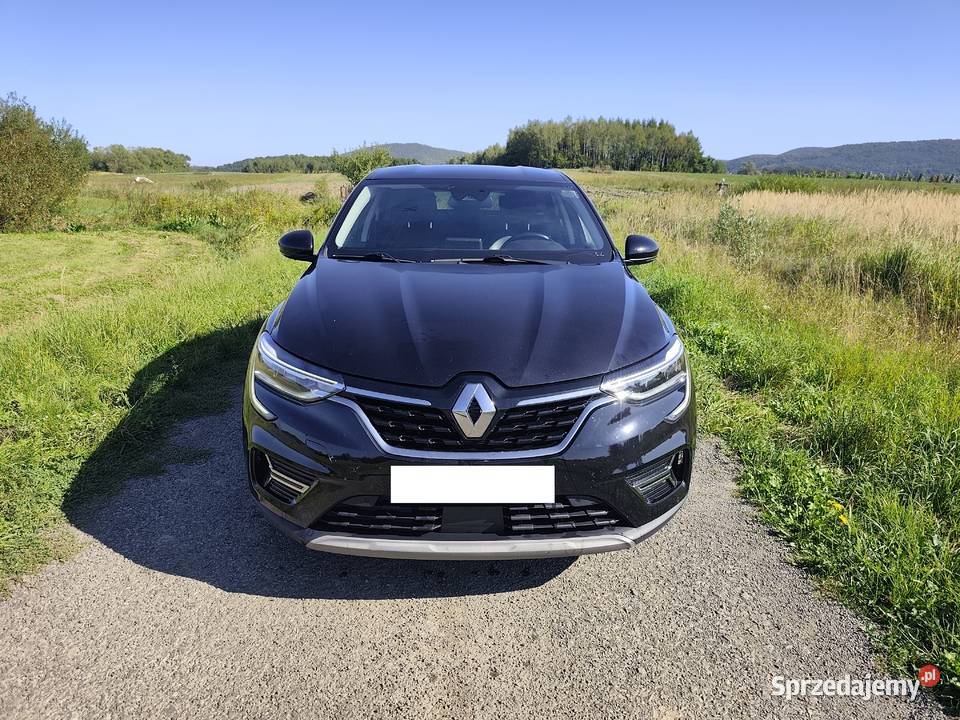 Renault Arkana nieuszkodzony podkarpackie Kostarowce