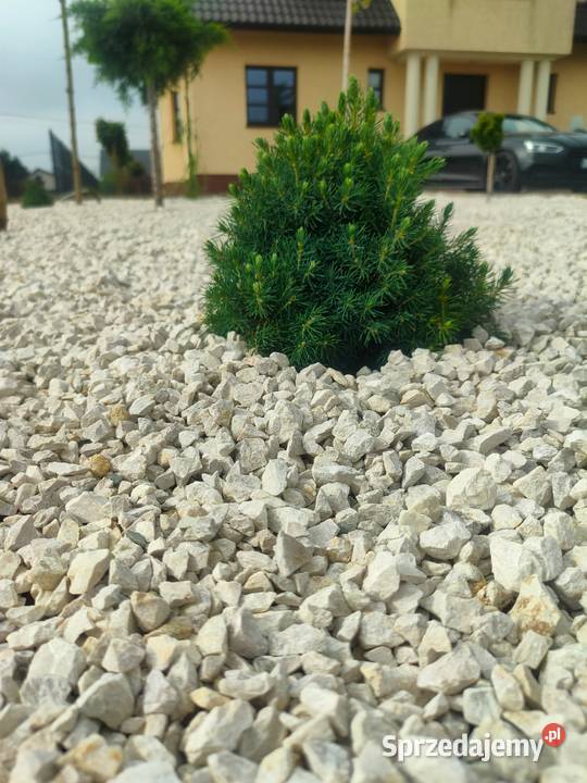 Grys kamień Biały Kremowy 816mm Ozdobny Kraków