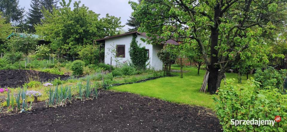 Sprzedam działkę rekreacyjną ROD Maciejka Wrocław sprzedam