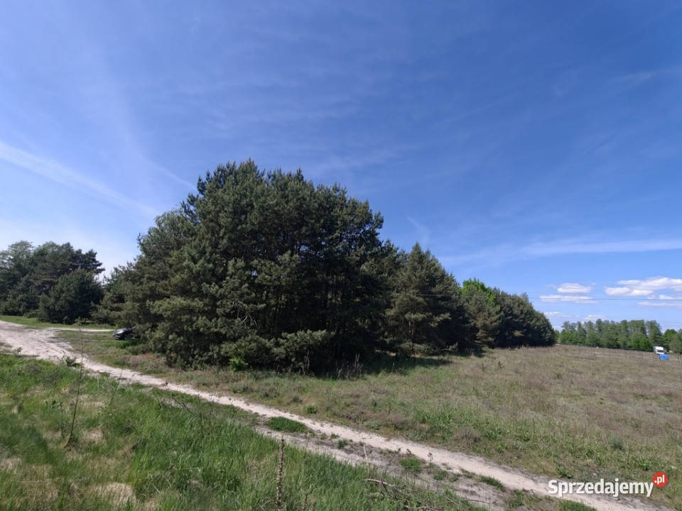 Michałów urokliwa działka budowlana 5500 m2 200m