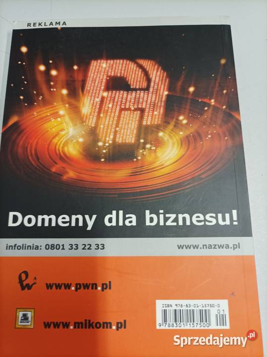 Domeny internetowe Krótko i na temat Maciej miękka Toruń