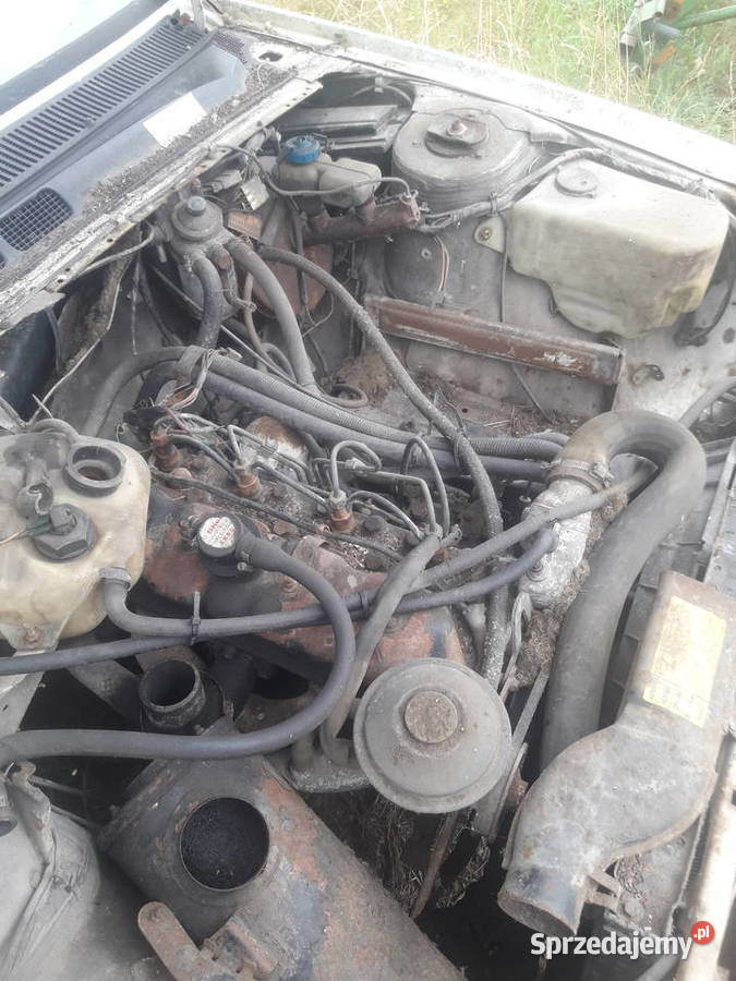 PEUGEOT 505 120000km Poznań