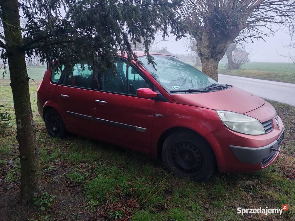 Renault Grand Scenic Kutno