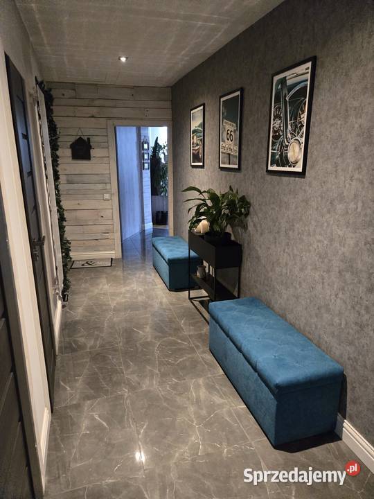 Mieszkanie 122 m w sercu Poznanianajem piwnica Poznań sprzedam