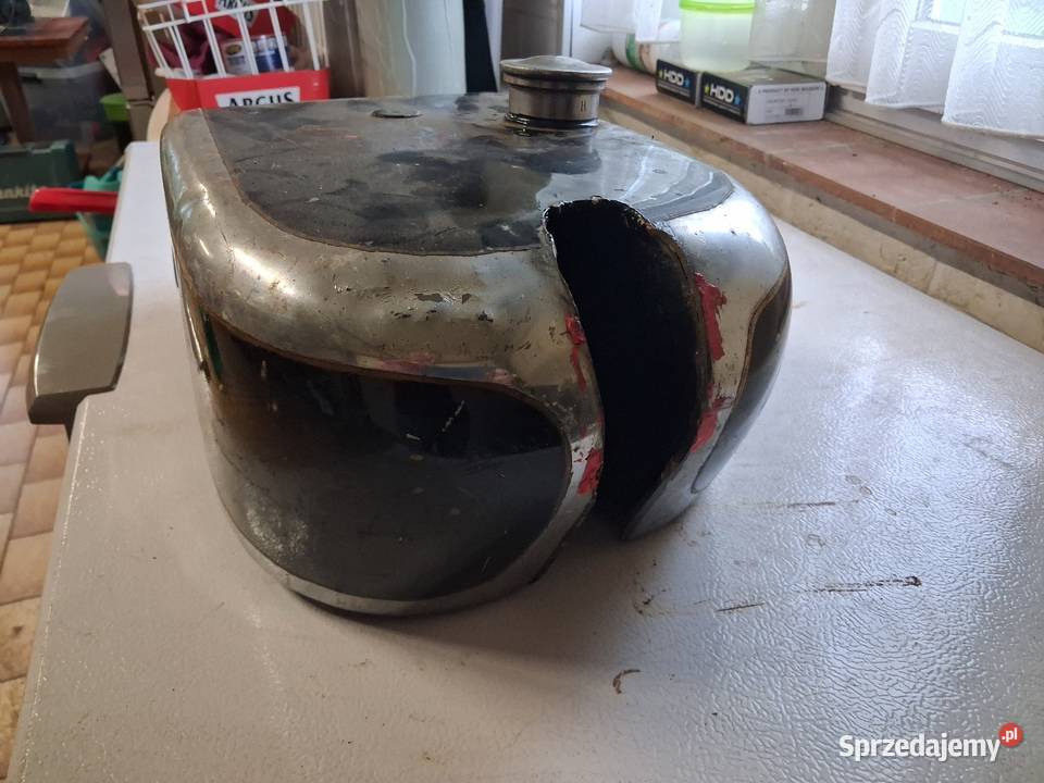 Bak Terrot Magnat Debon orginał Annopol