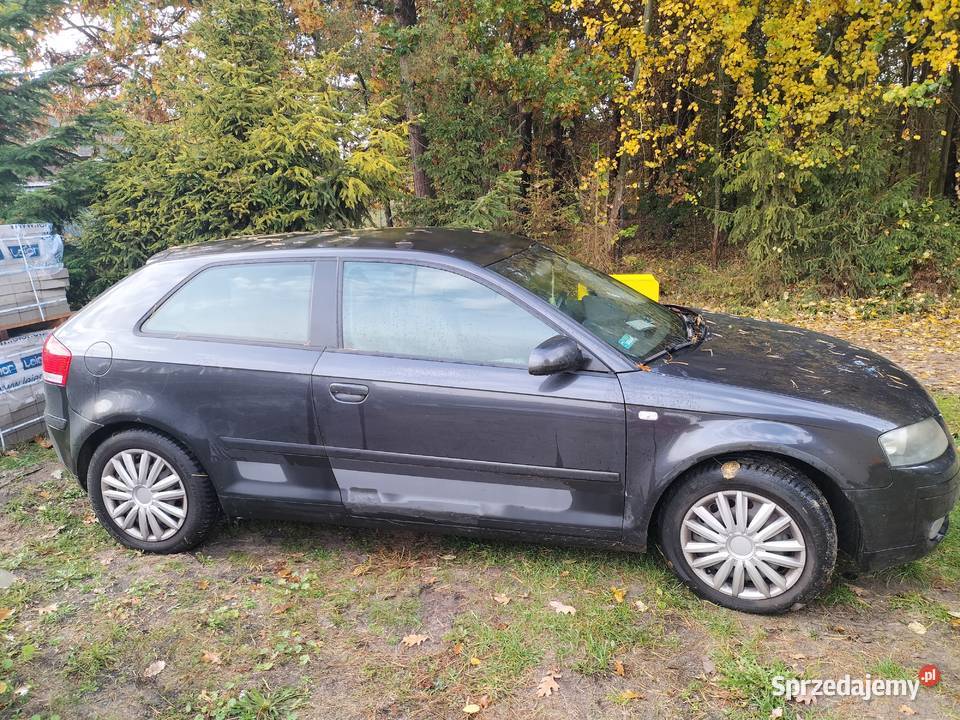 audi a3 A3 Sztum