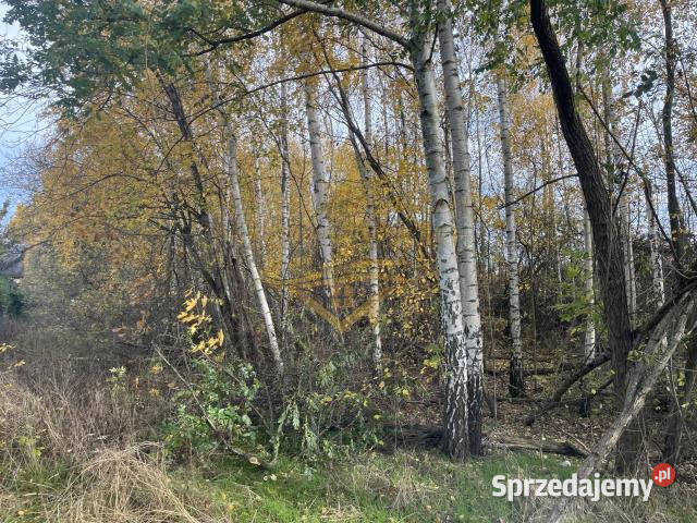 Działka Książenice 4046m2