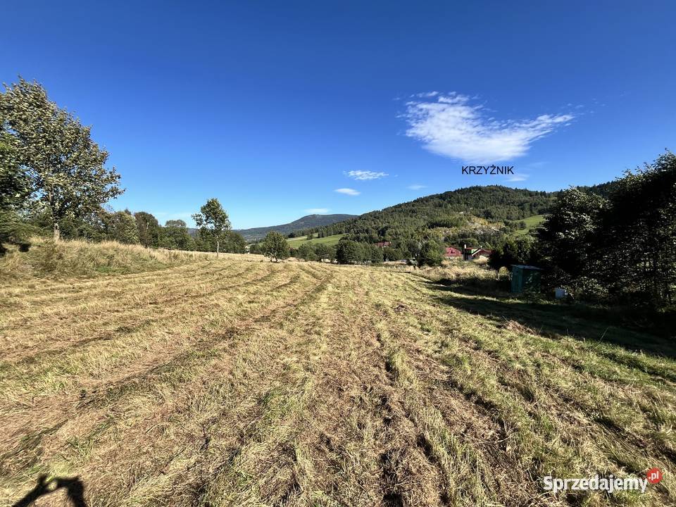 Stronie Śląskie dwie pięknie położone Sprzedaż