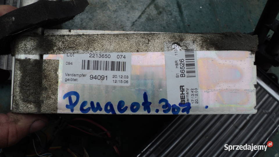 Peugeot 307 hdi klima i ogrzewanie Bydgoszcz