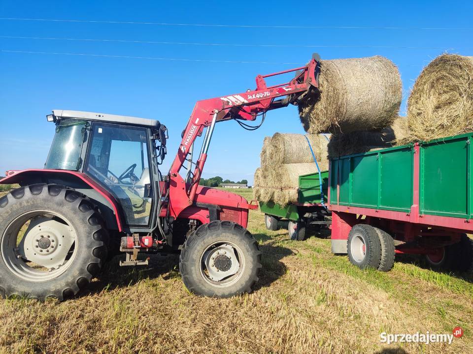 tur faucheux mailleux zenz do massey ferguson Chełm