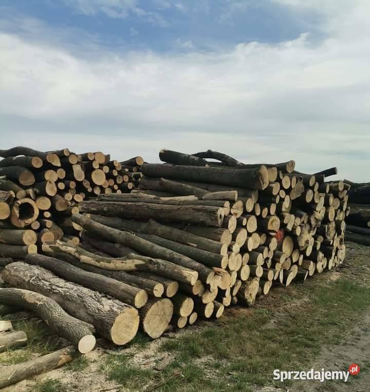 Jesion Dąb Pocięty na klocki 350 Połupany 400 1M dolnośląskie Sobótka