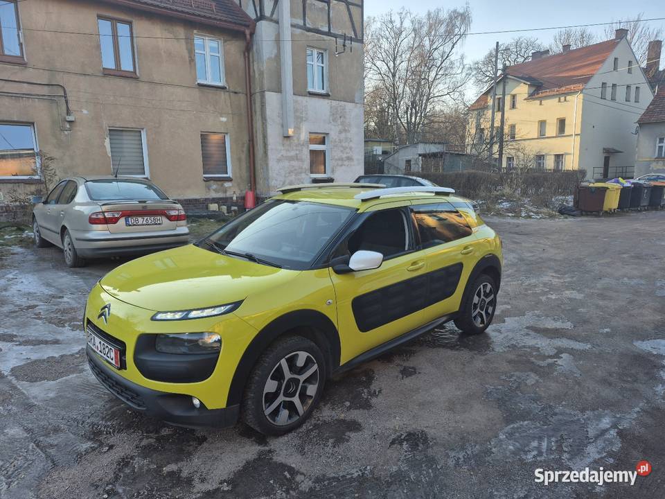 C4 cactus CD Wałbrzych