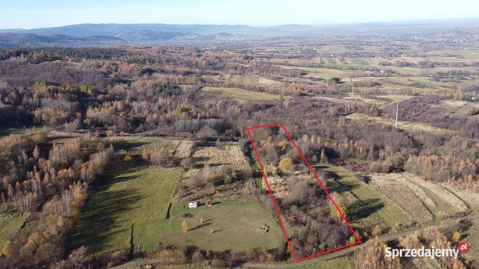 Makowiska działka 61 ar Sprzedaż podkarpackie sprzedam