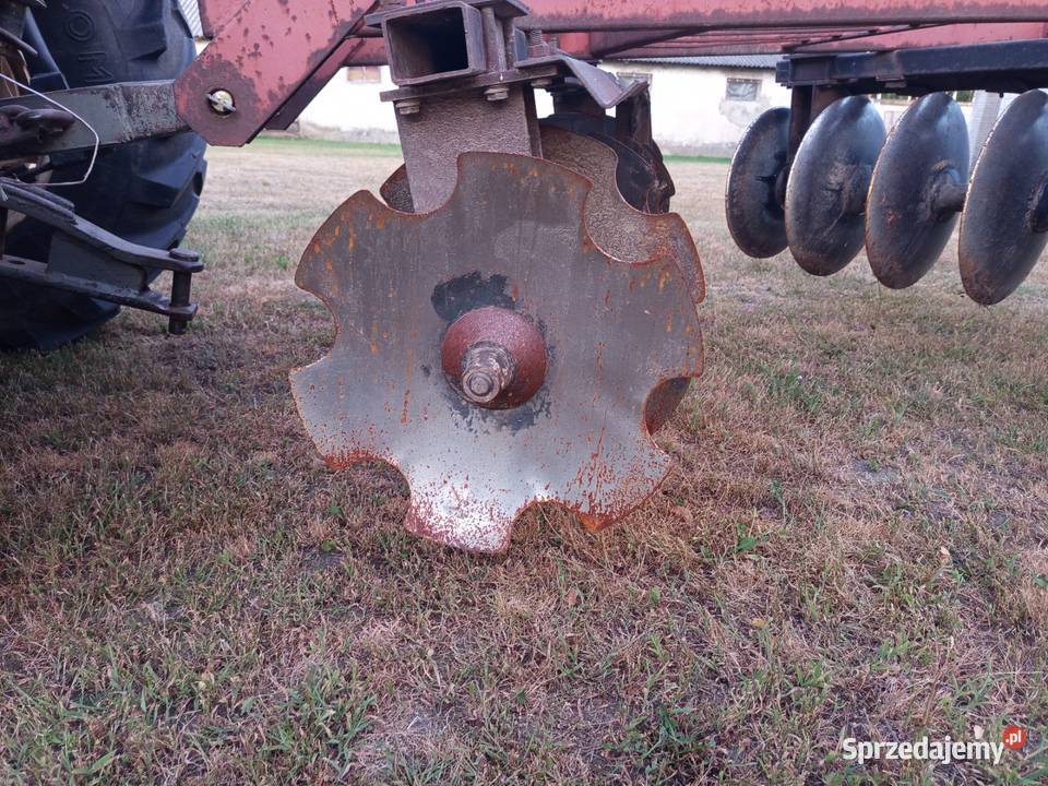 Brona Talerzowa Talerzówka Kock