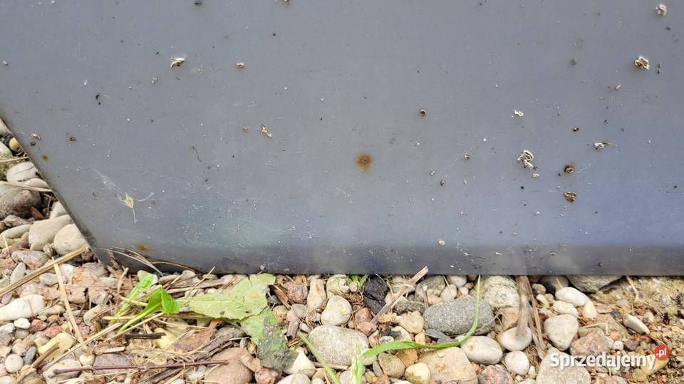 Drzwi Opel Vectra B Łagów