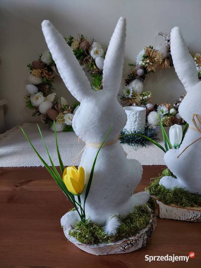 STROIKZAJĄCZEK zachodniopomorskie Stargard