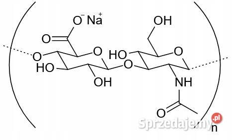 Kwas Hialuronowy HMW Hyaluronic Acid 1g Pozostałe Ogród Łódź