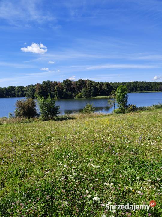 działka na Mazurach 1500 m 2 Ełk 1500m2