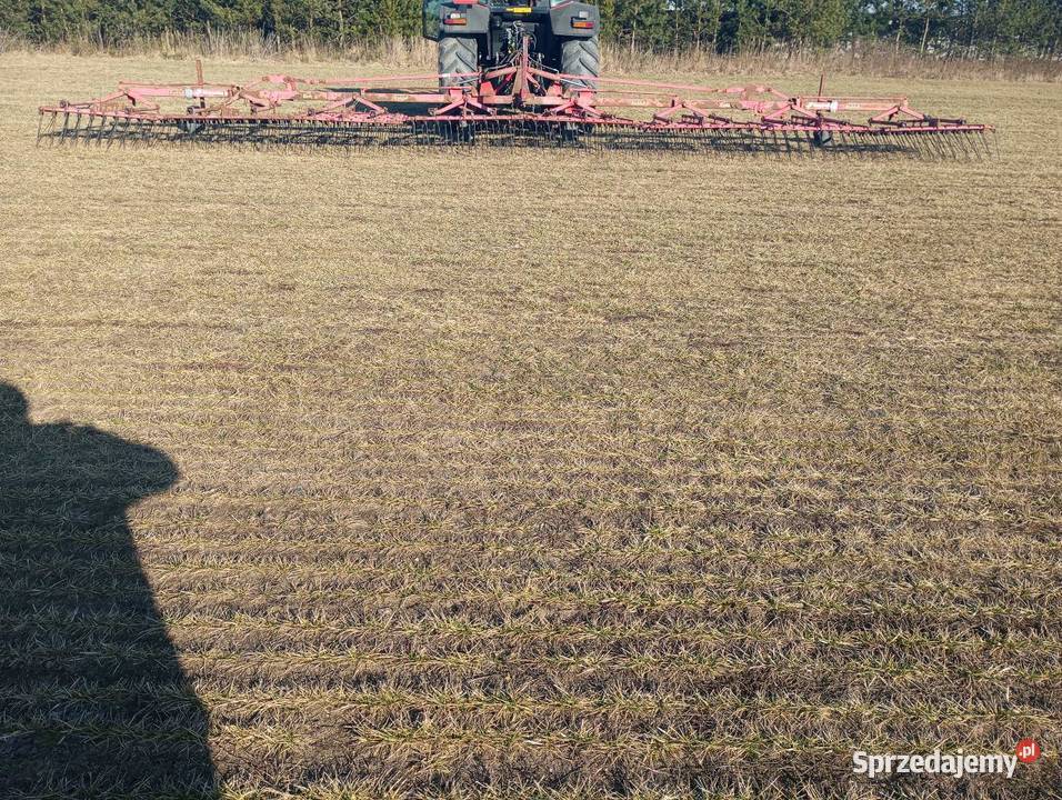 Chwastownik 12 m wielkopolskie Buk sprzedam
