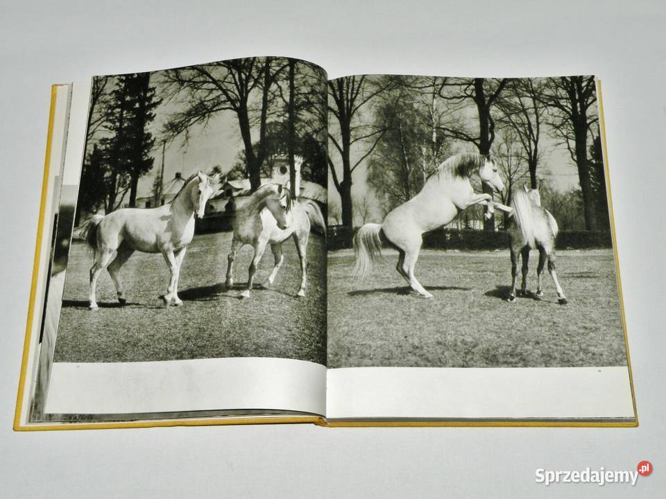 Konie Marian Gadzalski album WSiT 1978 sprzedam