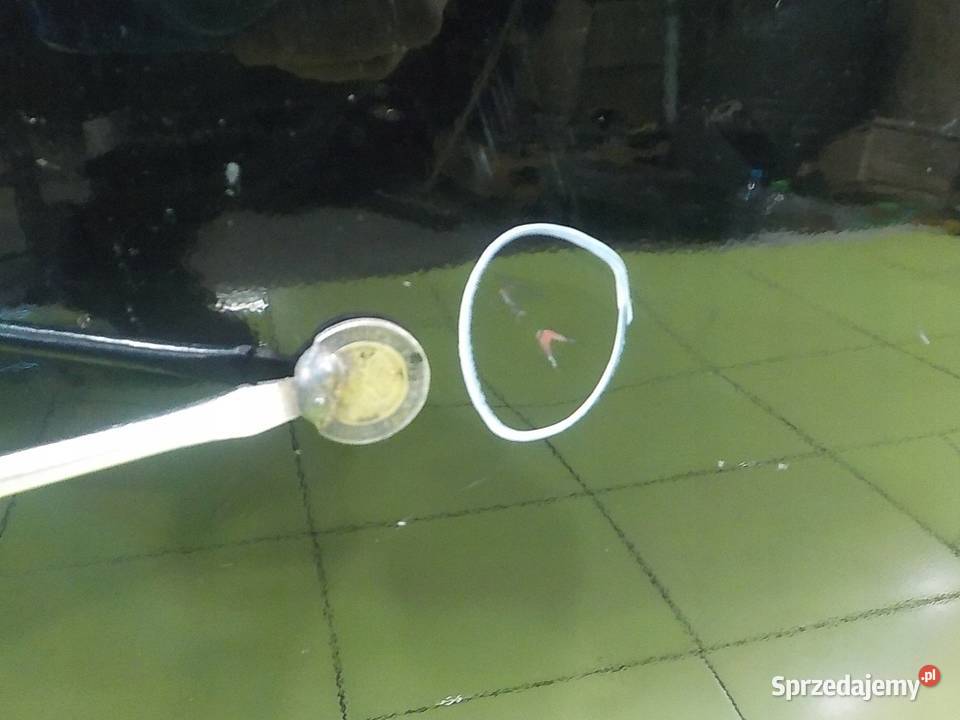 PEUGEOT 308 I CC 16 B 10r CABRIO 2D drzwi prawe sprzedam