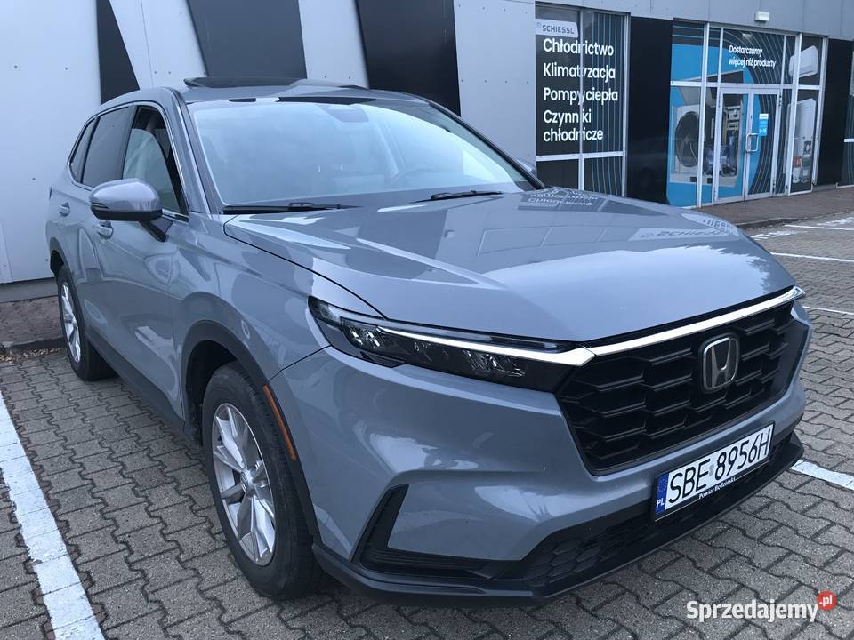 AWD4X4 Propozycje ile kto da sprzedam
