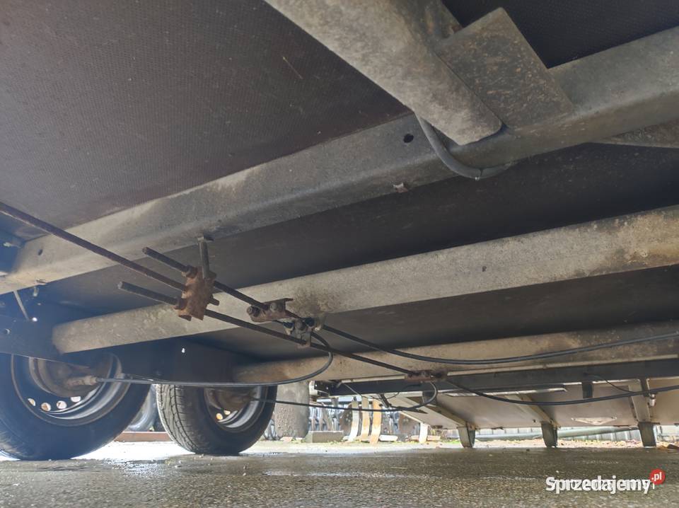 Przyczepa do koni Brenderup Do przewozu koni łódzkie Zgierz