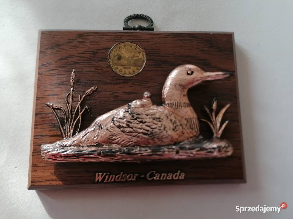 Obraz płaskorzeźba kaczki Windsor Canada brązowy Łódź