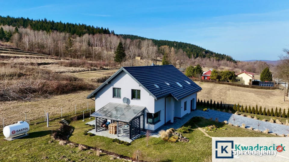 Dom wolnostojący 270m2 Iwla sprzedam