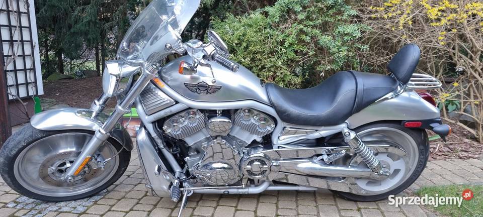HarleyDavidson VRSCA V ROD Motoryzacja Andrespol