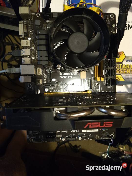 Komputer Płyta główna Biostar TB250 Intel G3930 Toruń