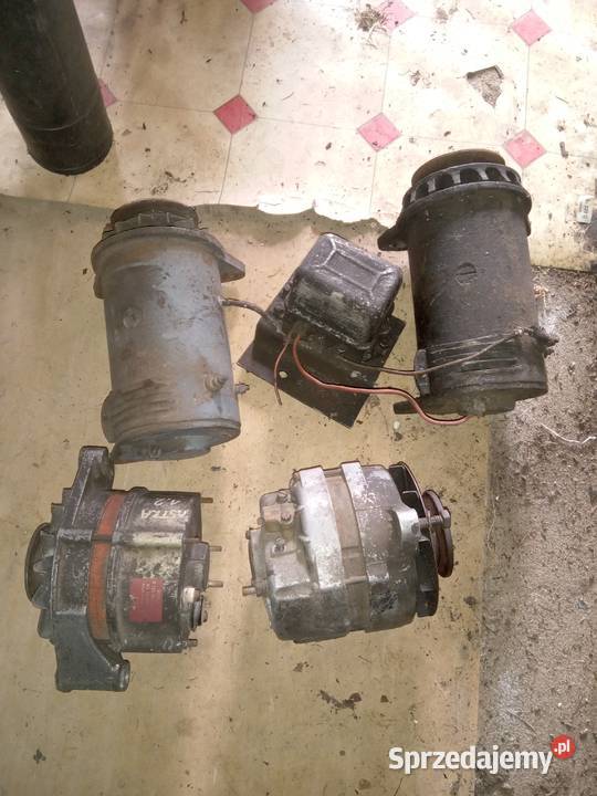 Dyfer Muscela przedni i tylnyWkład gaza małopolskie Kadcza