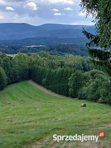Na sprzedaż działka rolnobudowlana o powierzchni 33zł/m2