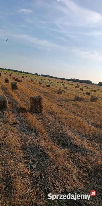 Siano Słoma Kostka Trawy, słoma Zelów