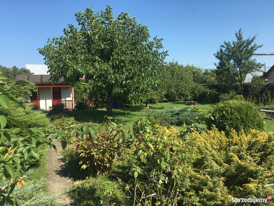 Działka rekreacyjna ogródek 525 arów w Mielcu prąd podkarpackie Mielec