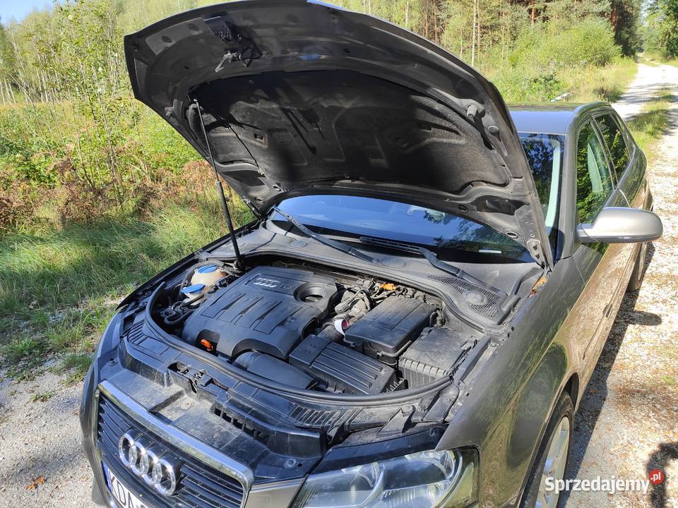 Audi A3 8P TDI 2012r bez wkładu potwierdzony Rok produkcji 2012 Szczucin