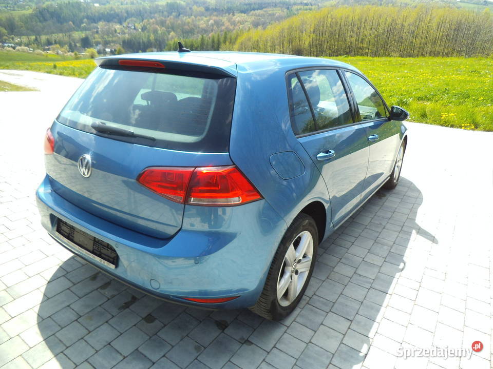VW golf 7 5dzwibezwypadkowy stan b Rok produkcji 2014 Nowy Sącz
